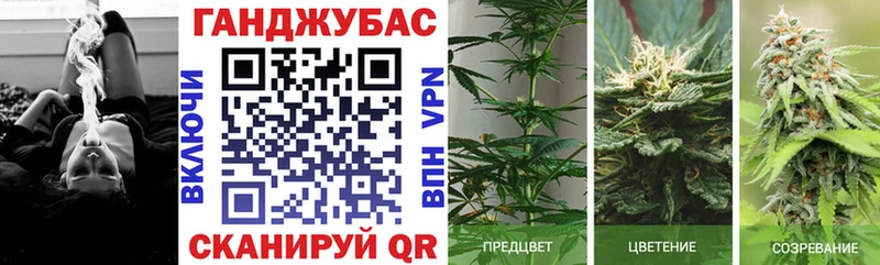 Бошки Шишки индика  мега зеркало  Элиста 